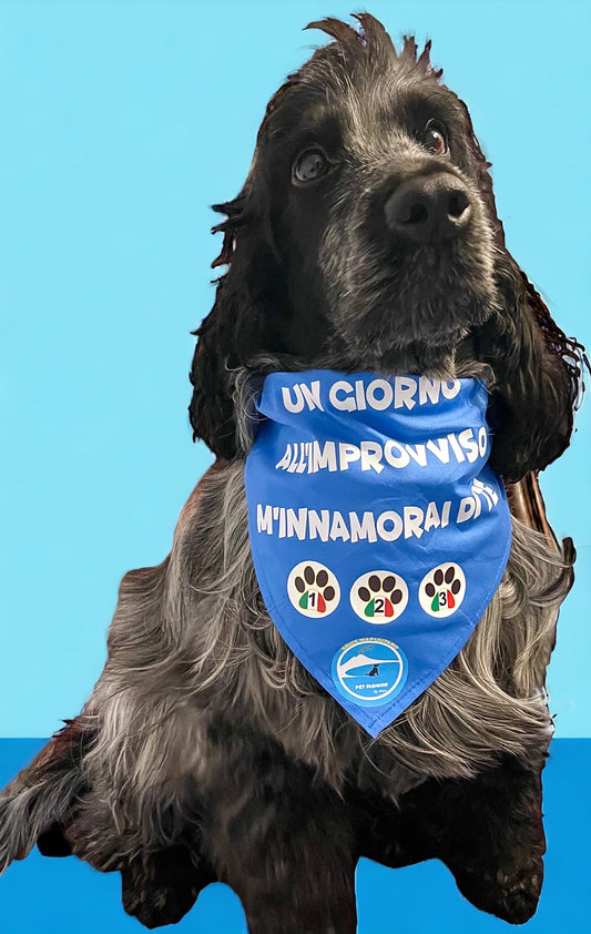 Bandane per Cani “Un giorno all’improvviso m’innamorai di te”- 100% Cotone