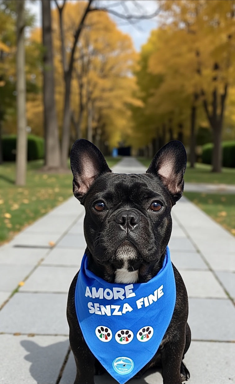 Bandane per Cani “Amore senza fine” - 100% Cotone