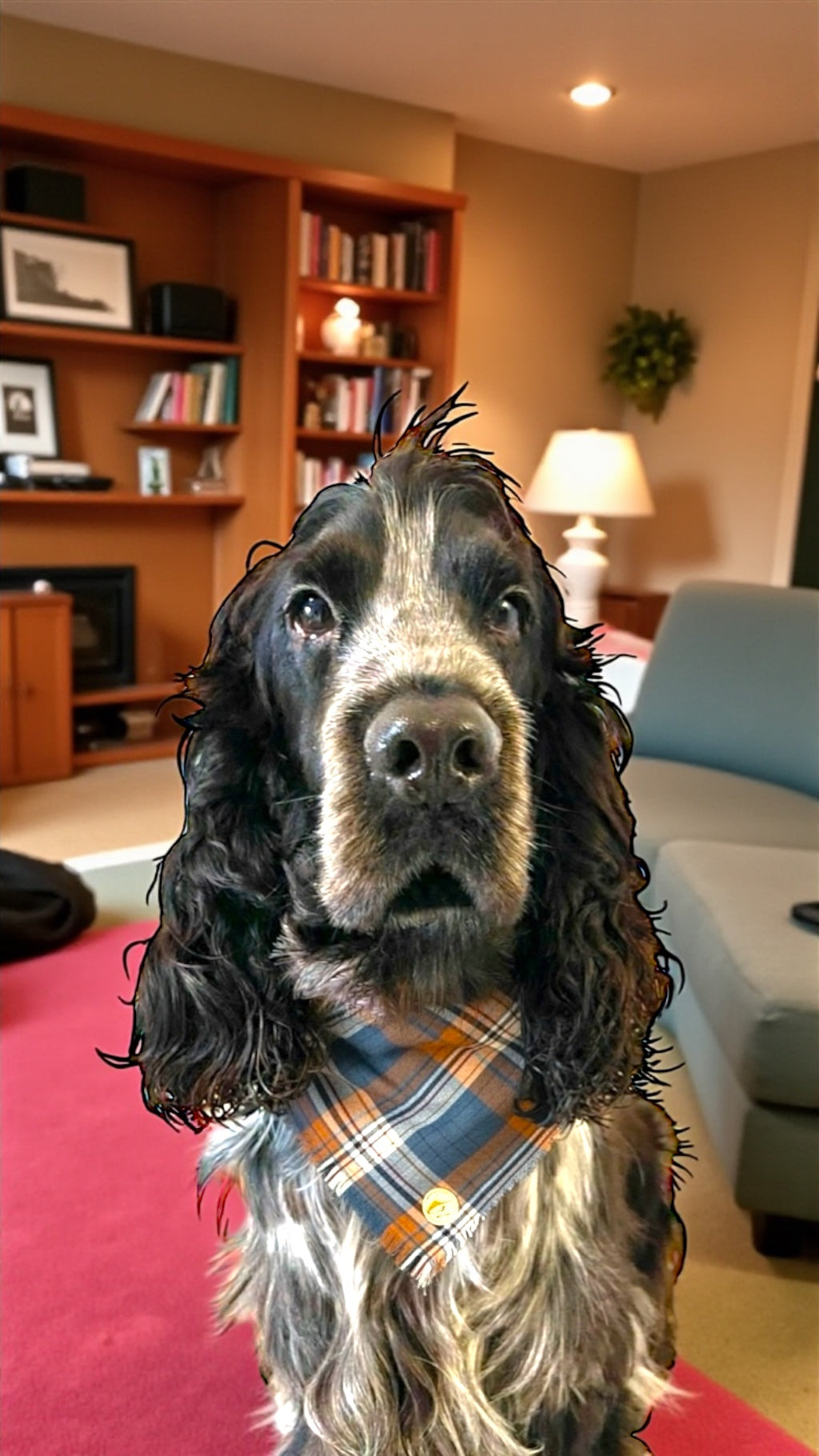 Bandana tartan per cani invernale morbida e calda sfrangiata -(blu, cammello e bianco)