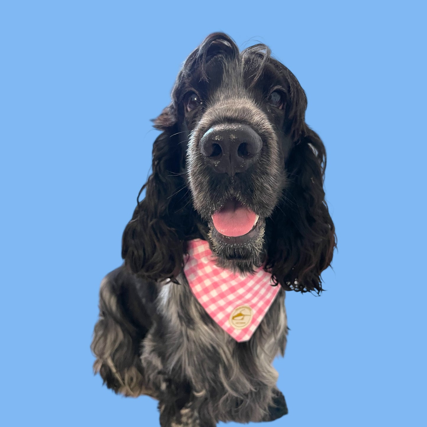 Bandana per Cani Rosa a Quadretti Double-Face e Personalizzata