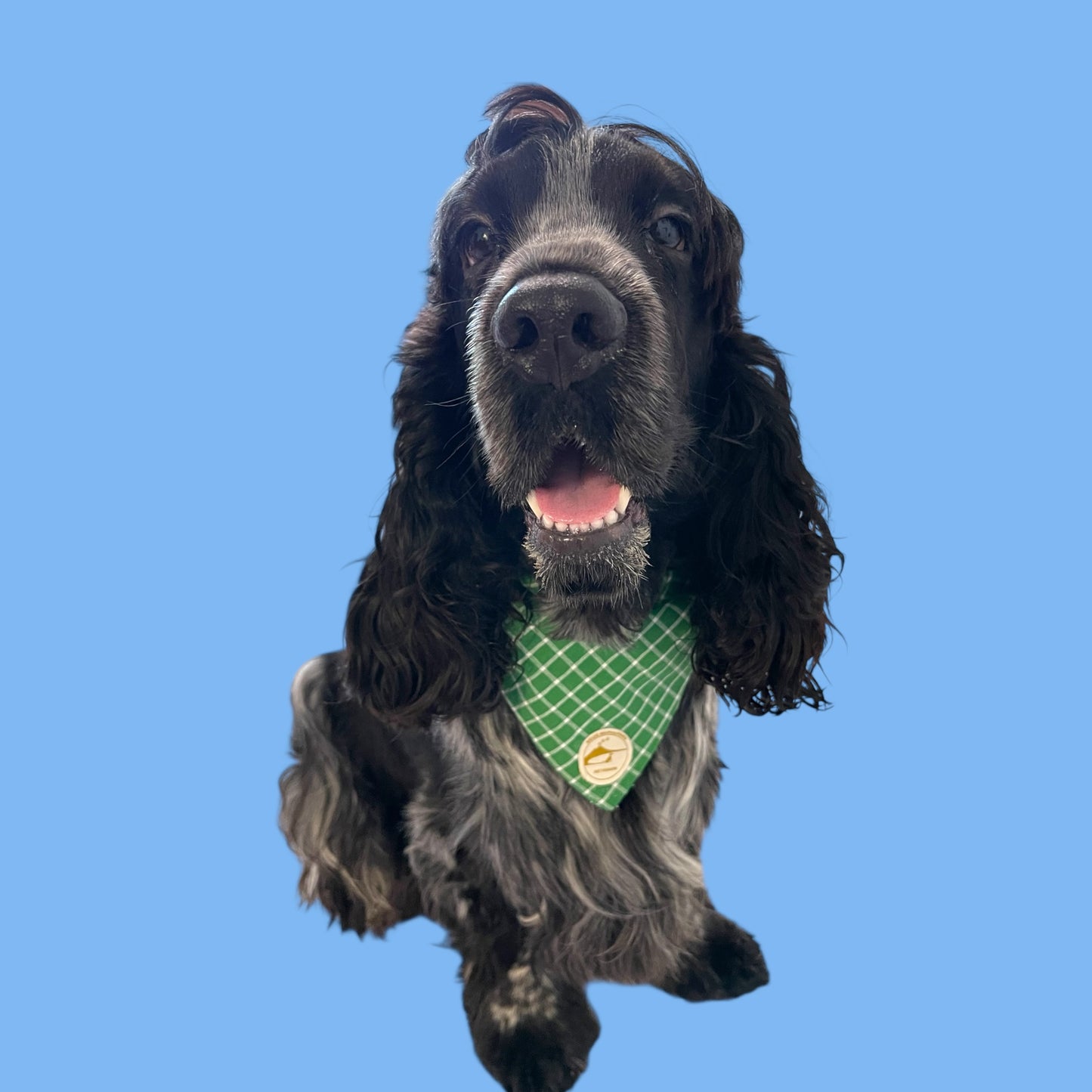 Bandana per Cani verde a Quadretti Double-Face e Personalizzata