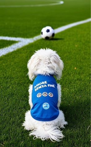 Magliette Cane Morbidissime "Amore senza fine" - Abbigliamento Tifoso Napoli