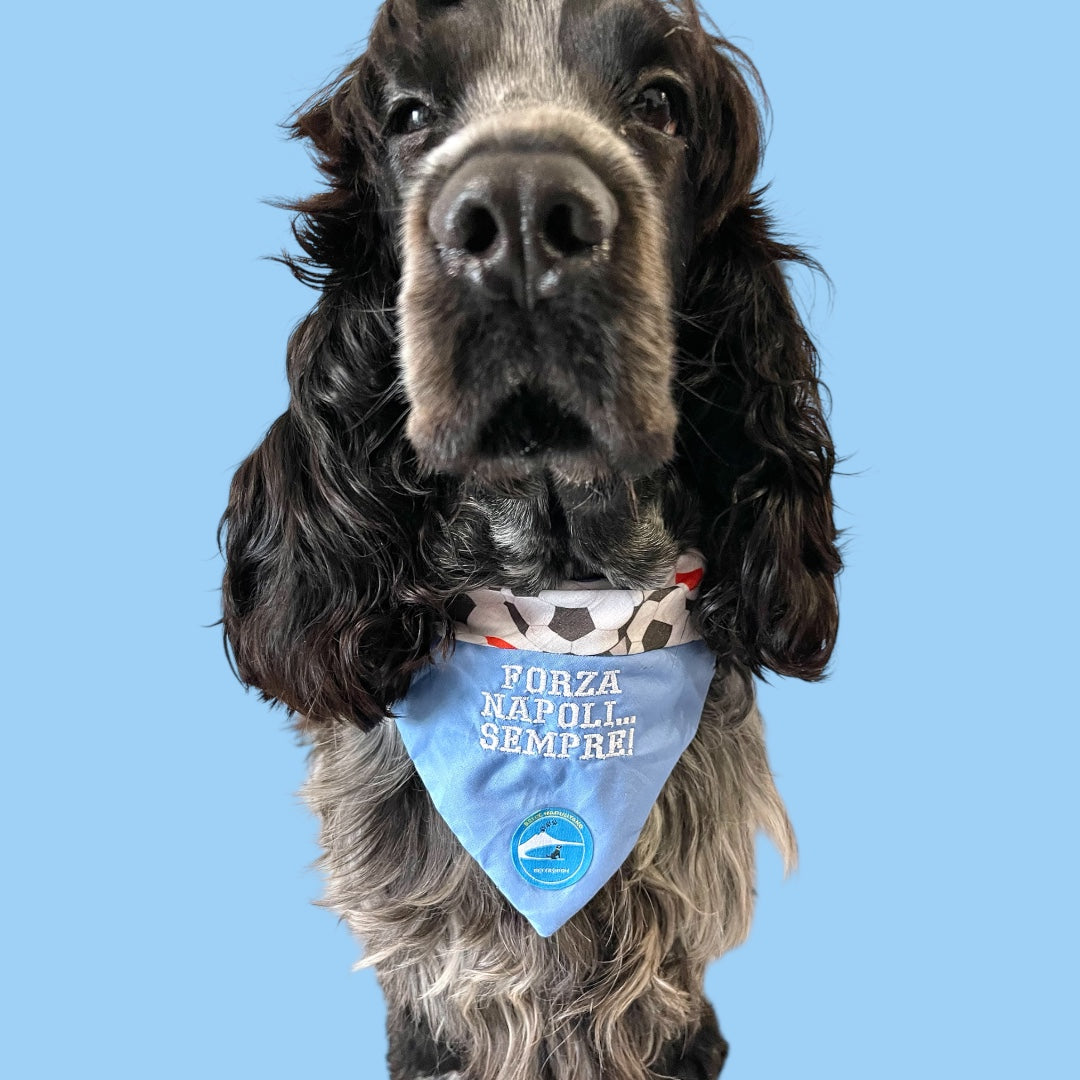 Bandana sartoriale double-face a collare per cani con scritta ricamata “Forza Napoli..Sempre!”