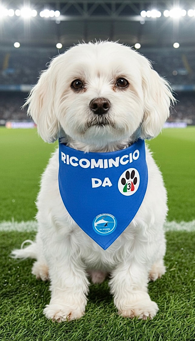 Bandane per Cani “Ricomincio da 3” - 100% Cotone