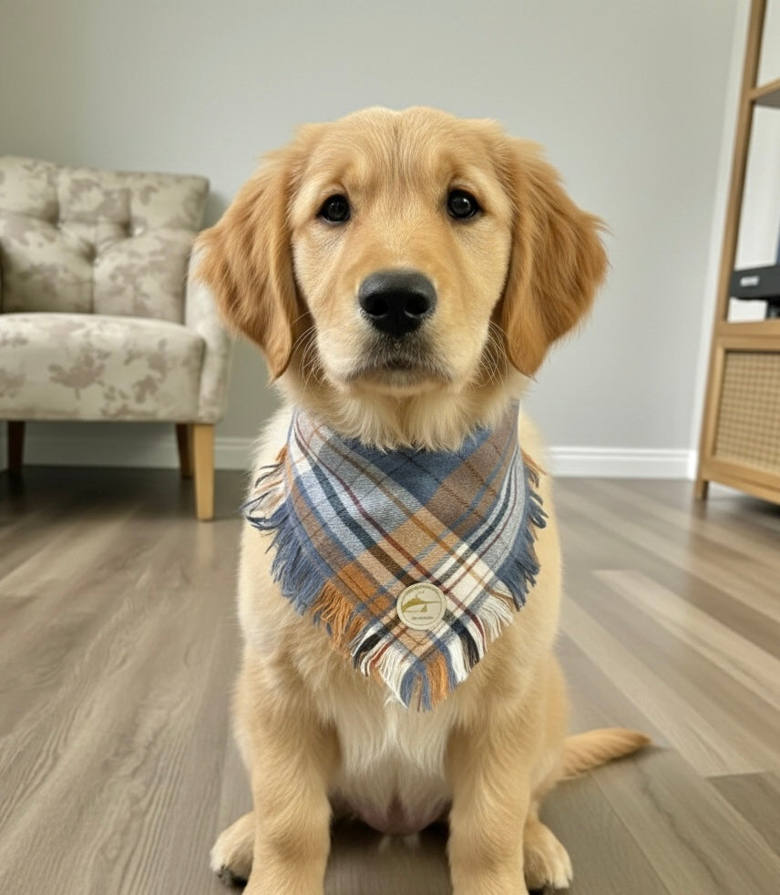 Bandana blu sfrangiata per cani