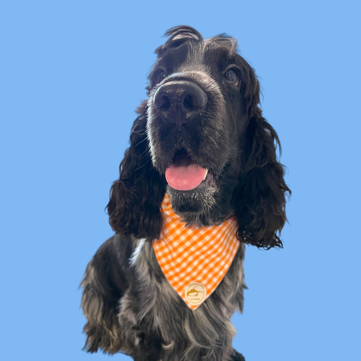 Bandana per Cani arancione a Quadretti Double-Face e Personalizzata