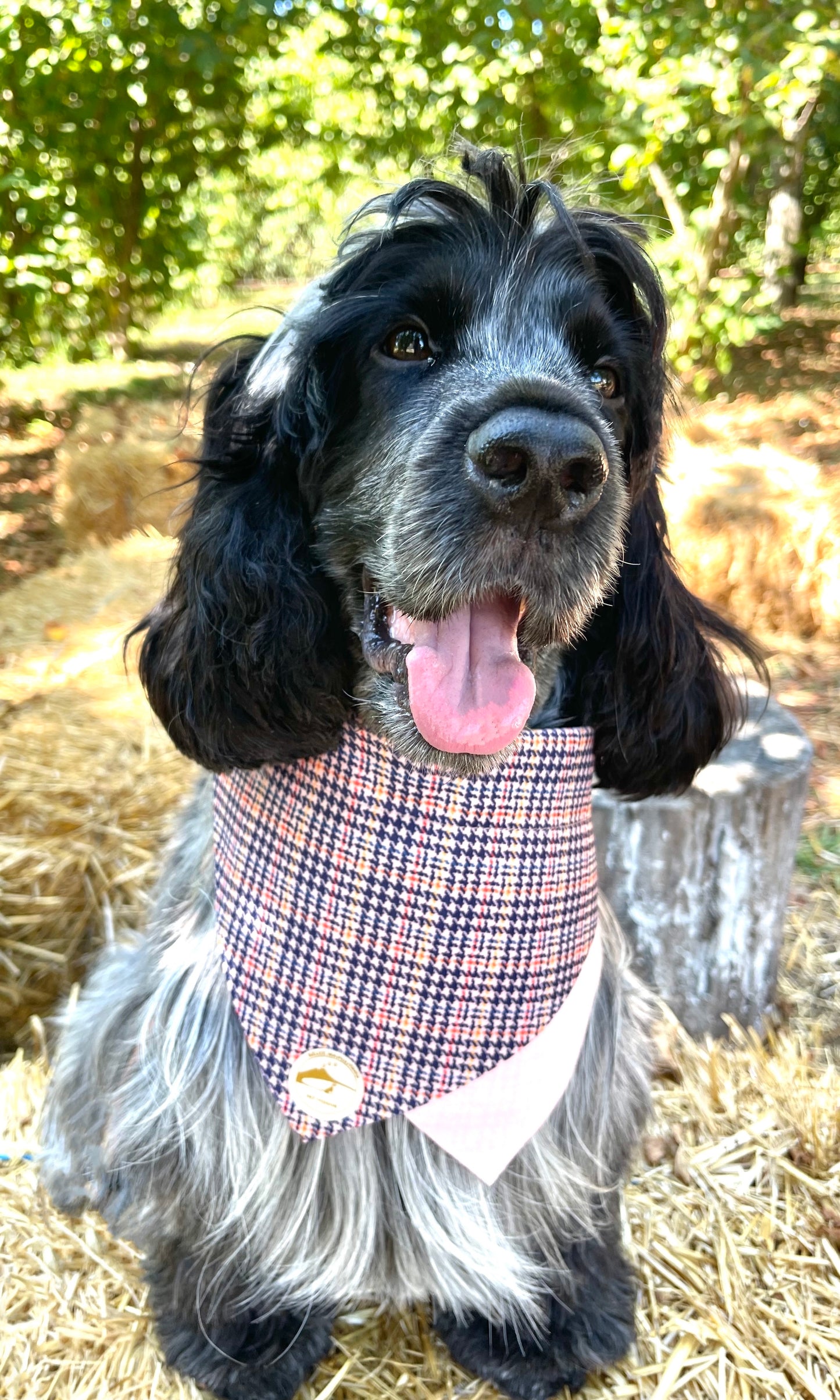 Bandana Doppia Accavallata con Collare Integrato | Salmone Righe Vivaci | Personalizzabile