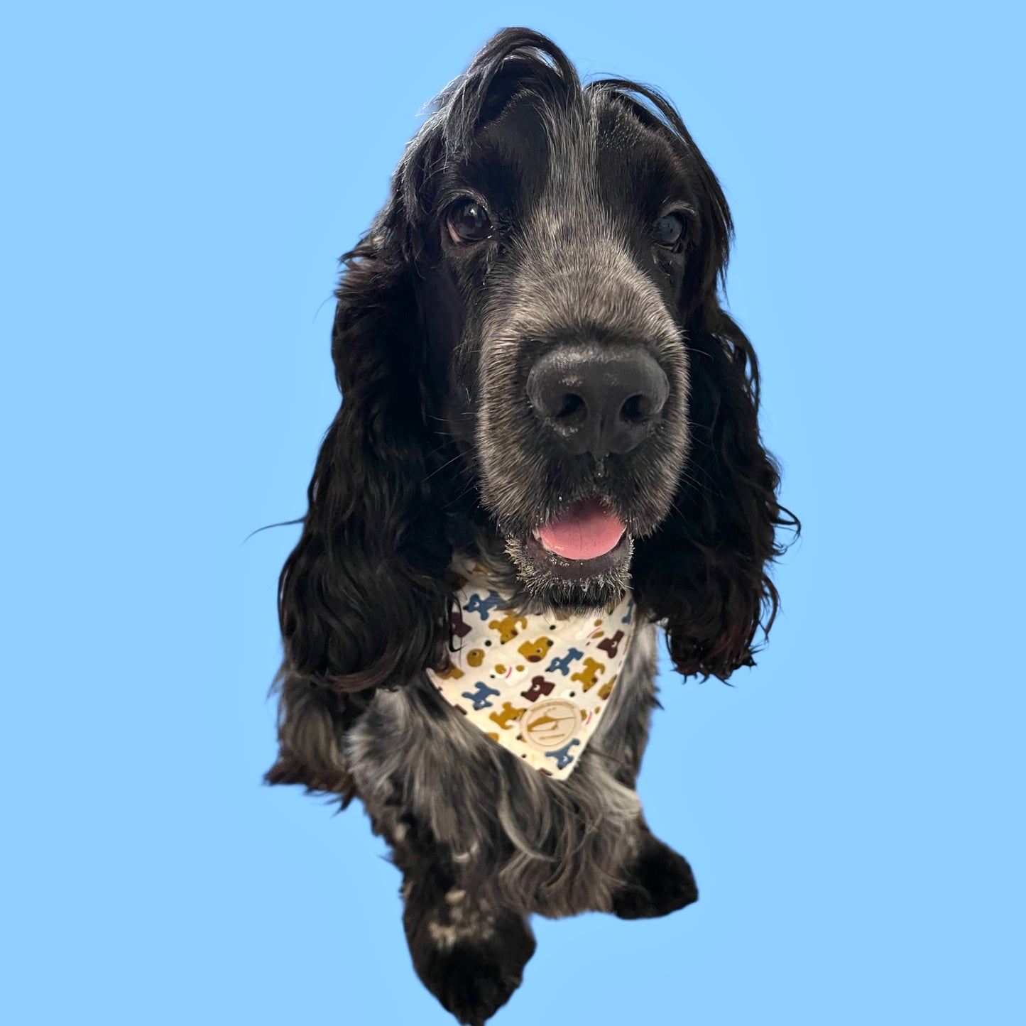 Bandana per Cani azzurra con fantasia di cagnolini multicolor, Double-Face e Personalizzata