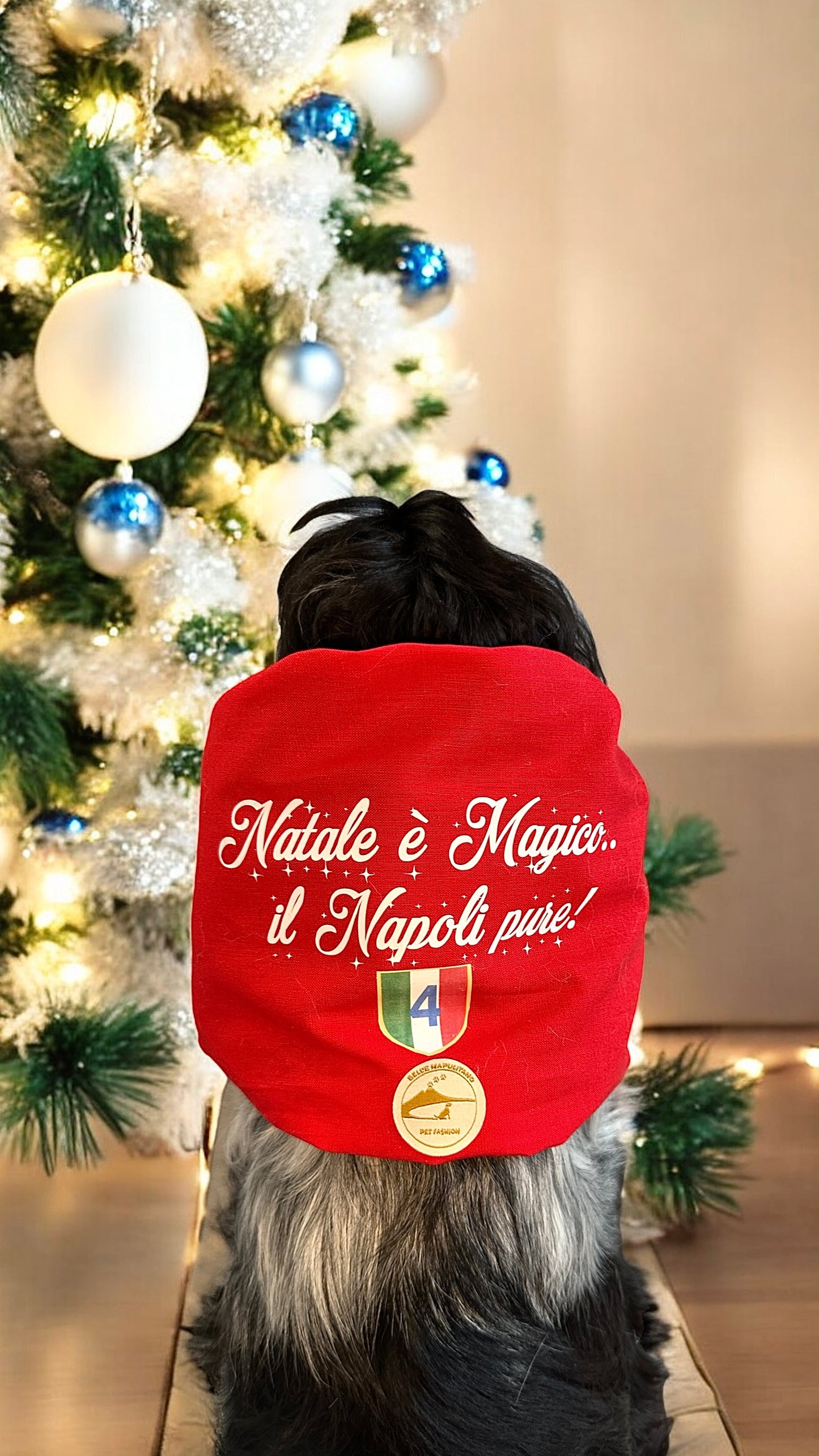 Snood Natalizio per cani - Calcio Napoli - “Natale è magico.. il Napoli pure! “