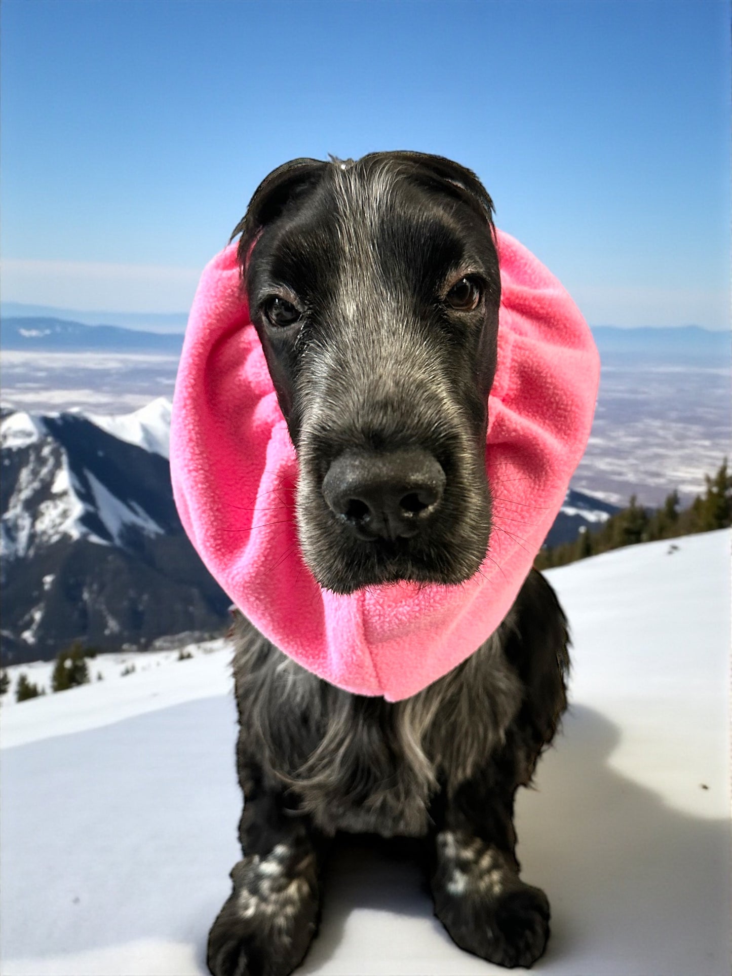 Snood cane in Pile personalizzabile / copri orecchie caldo invernale color rosa.
