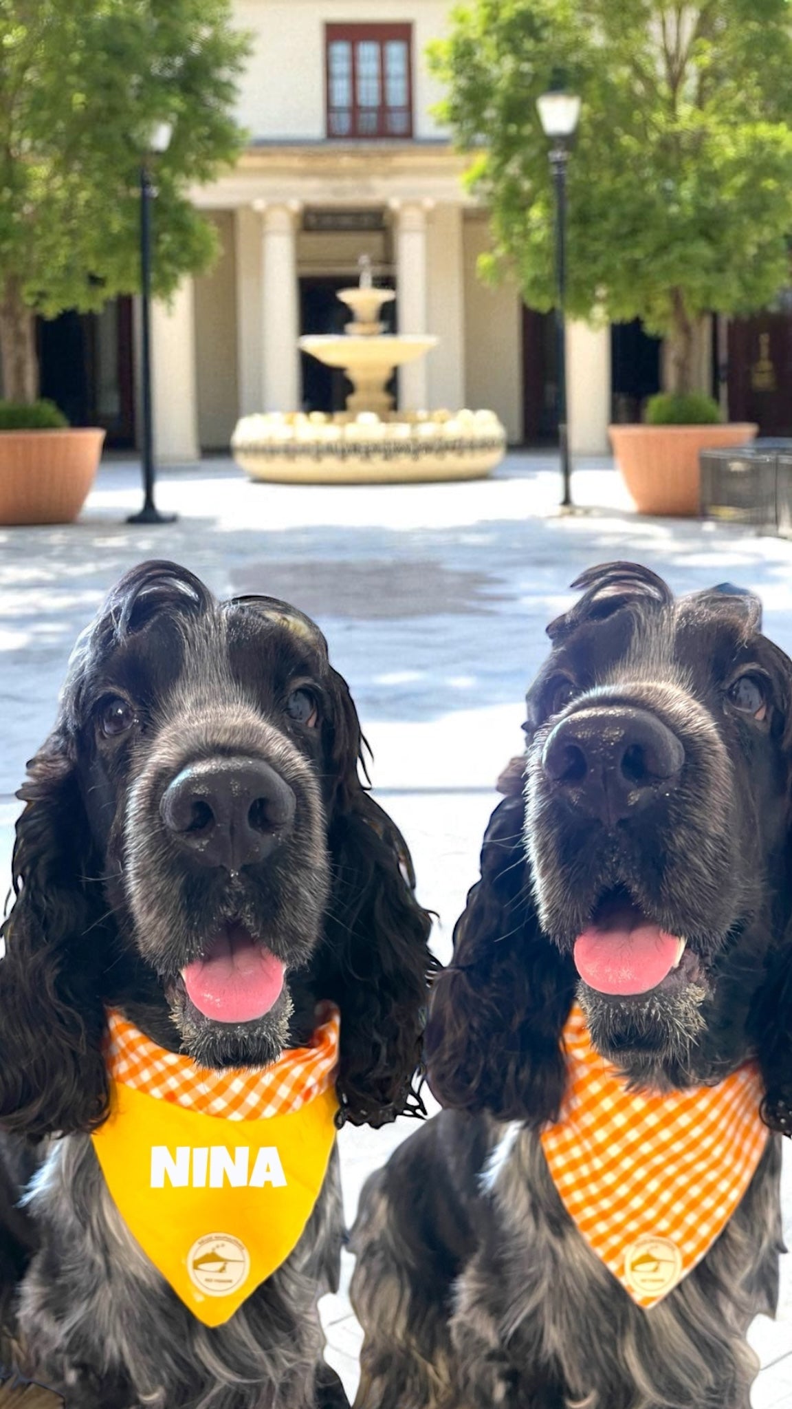 Bandana per Cani arancione a Quadretti Double-Face e Personalizzata