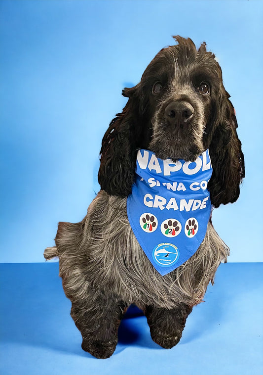 Bandane per Cani “Napoli tu si ‘na cosa grande”- 100% Cotone