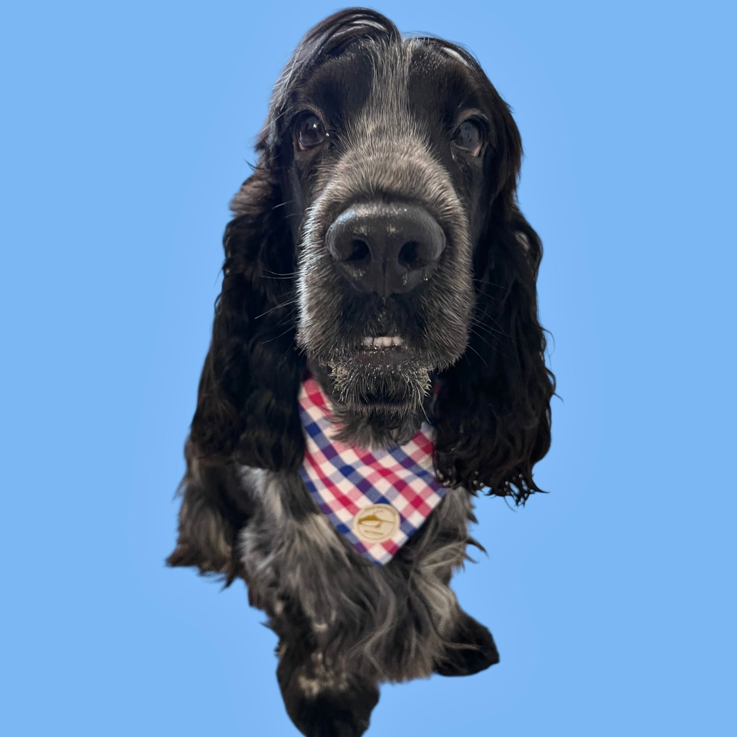 Bandana per Cani rossa a Quadretti bianco, rosso e blu Double-Face e Personalizzata