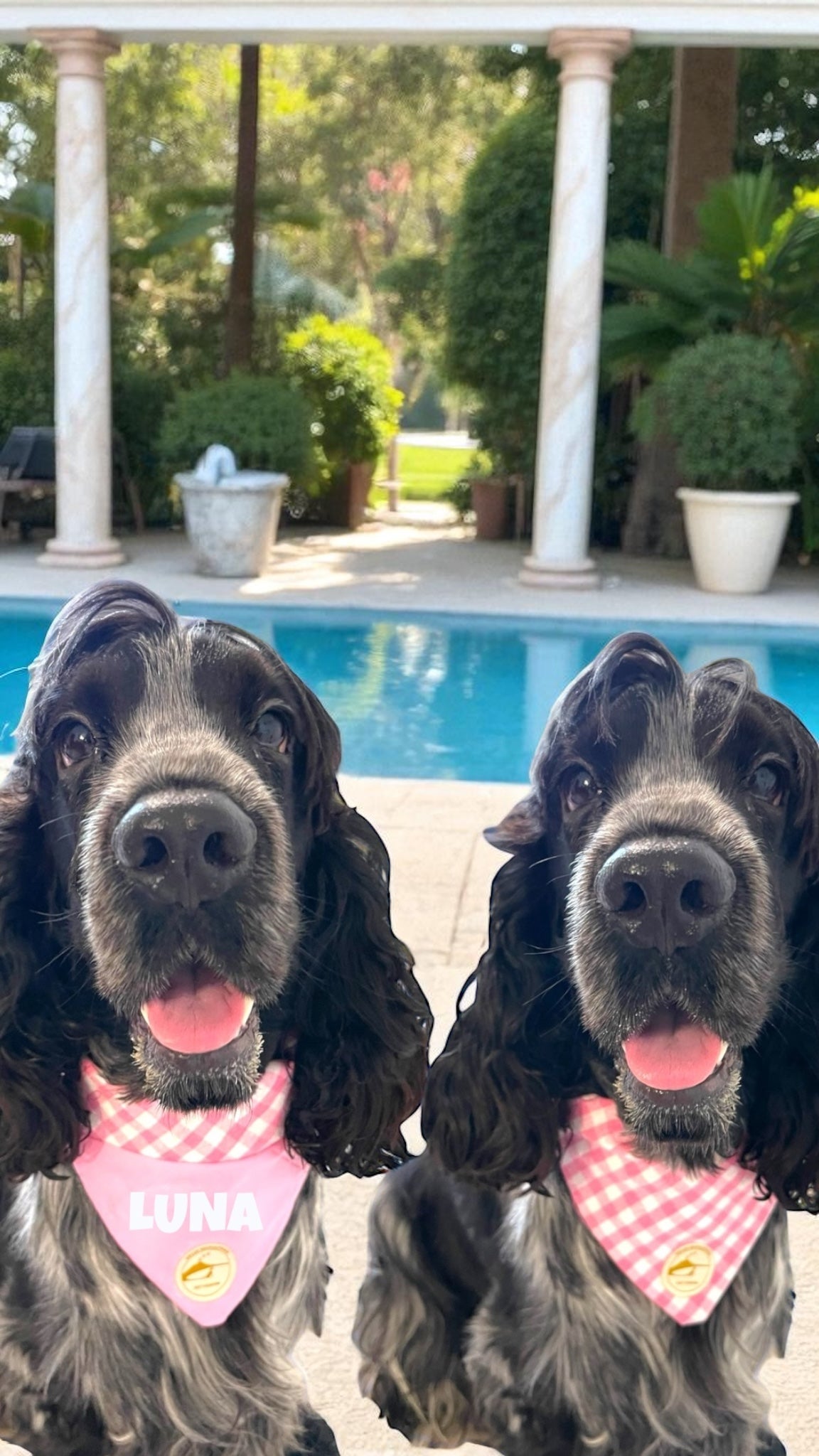 Bandana per Cani Rosa a Quadretti Double-Face e Personalizzata