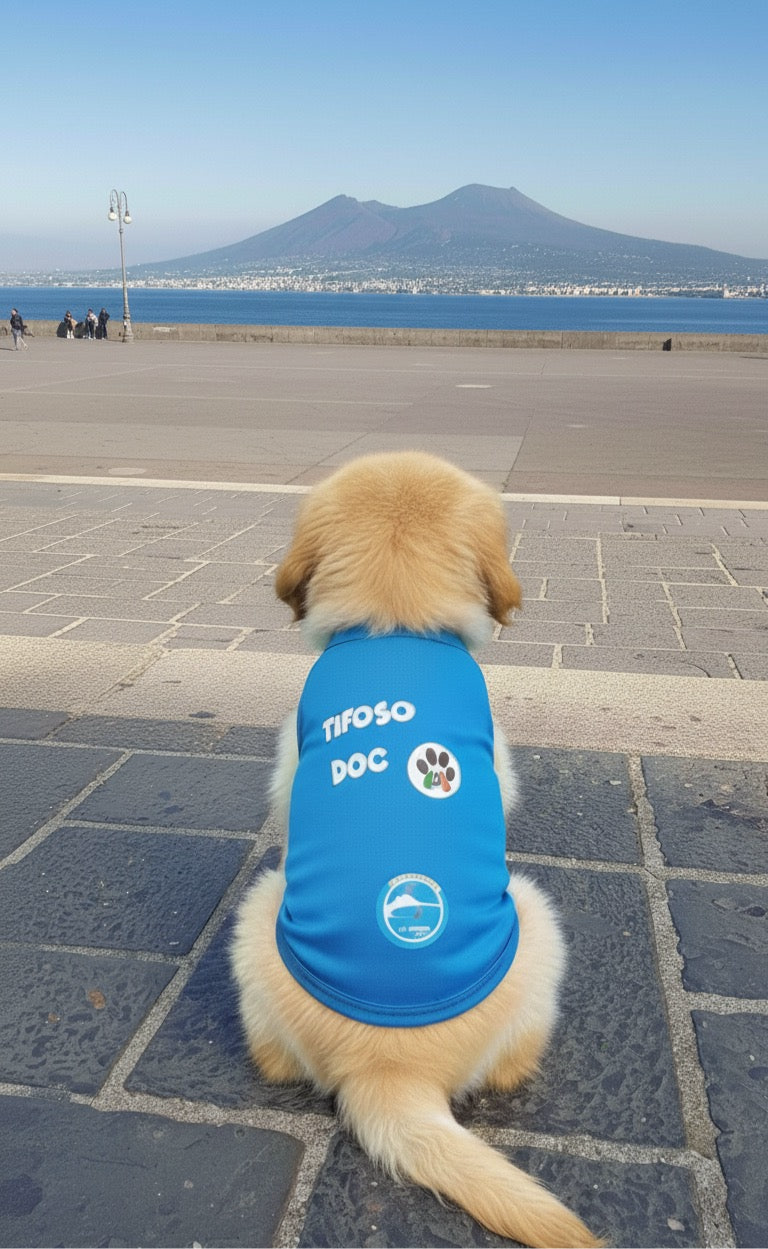 Maglia calcio Napoli 3 scudetto per cani