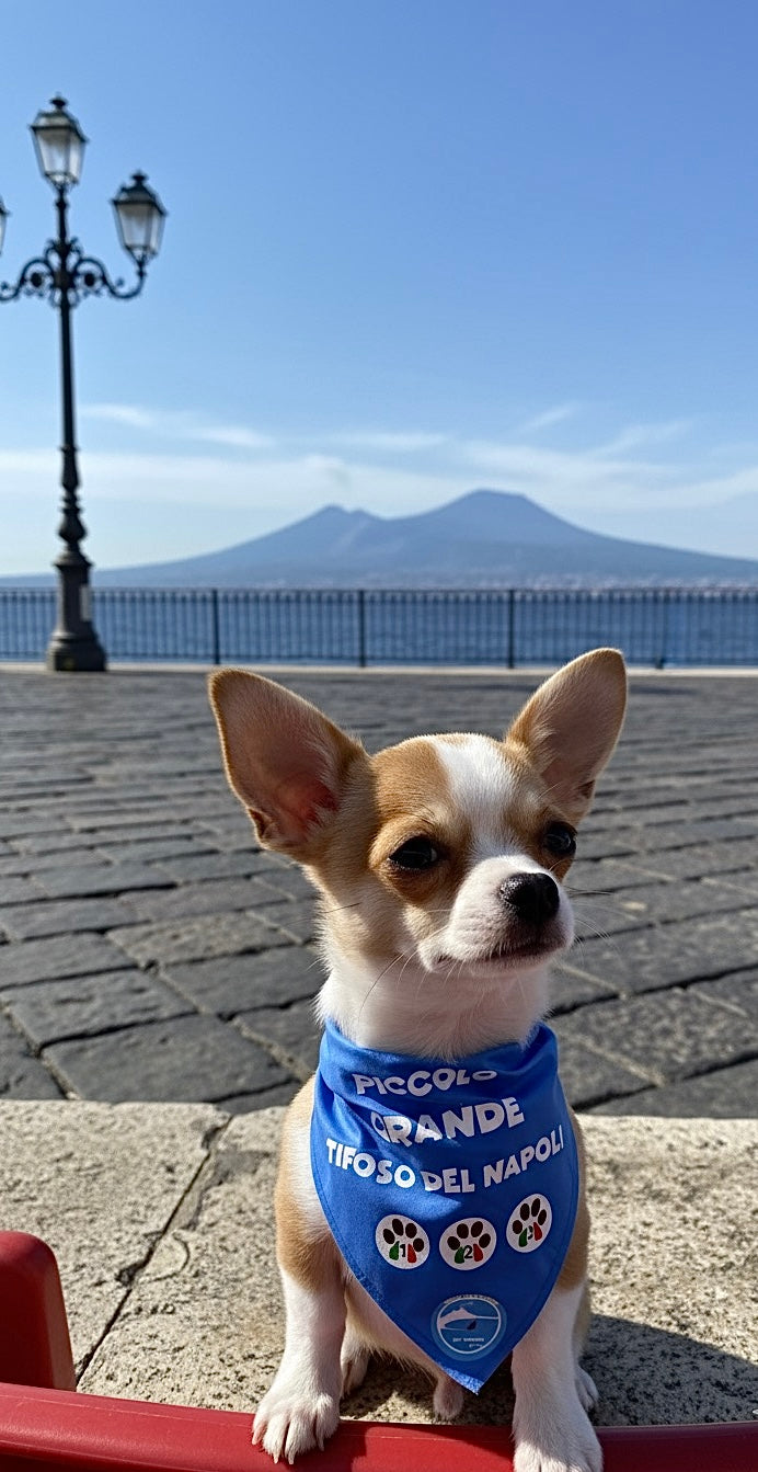 Bandane per Cani “Piccolo Grande Tifoso del Napoli” - 100% Cotone
