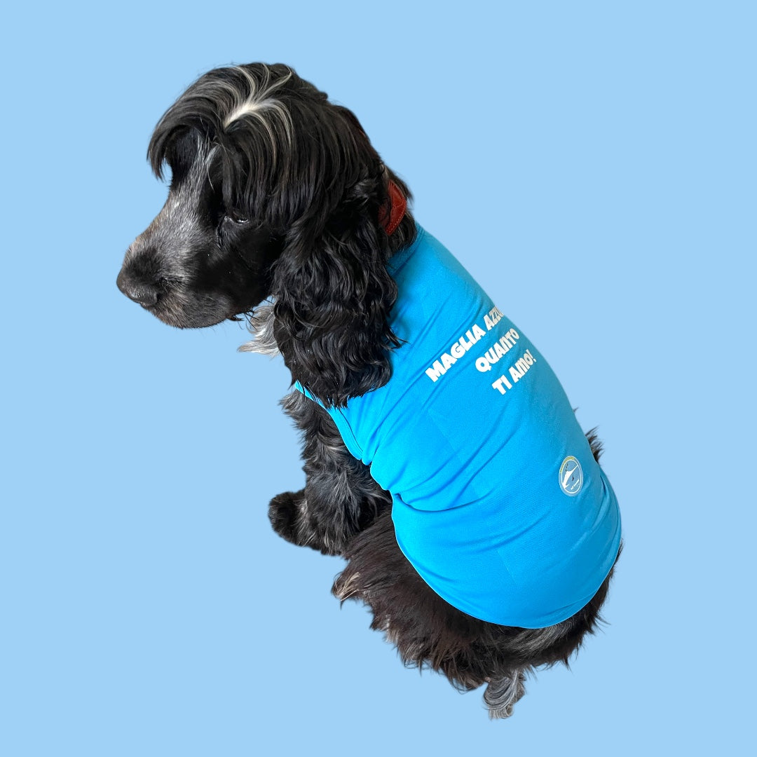 Maglietta per cani “Maglia azzurra quanto ti amo! “