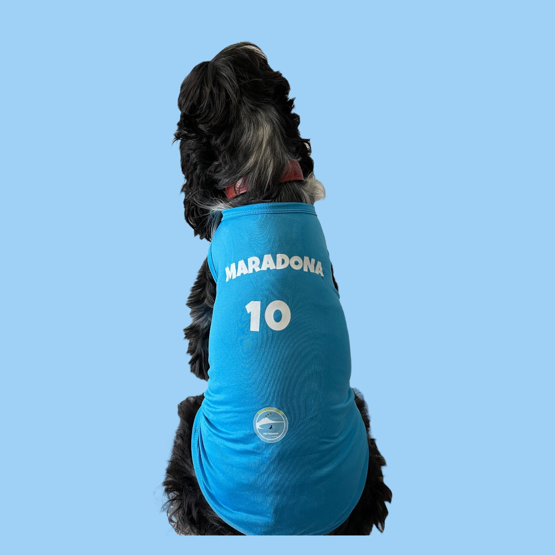 Maglietta per cani “Maradona - 10”