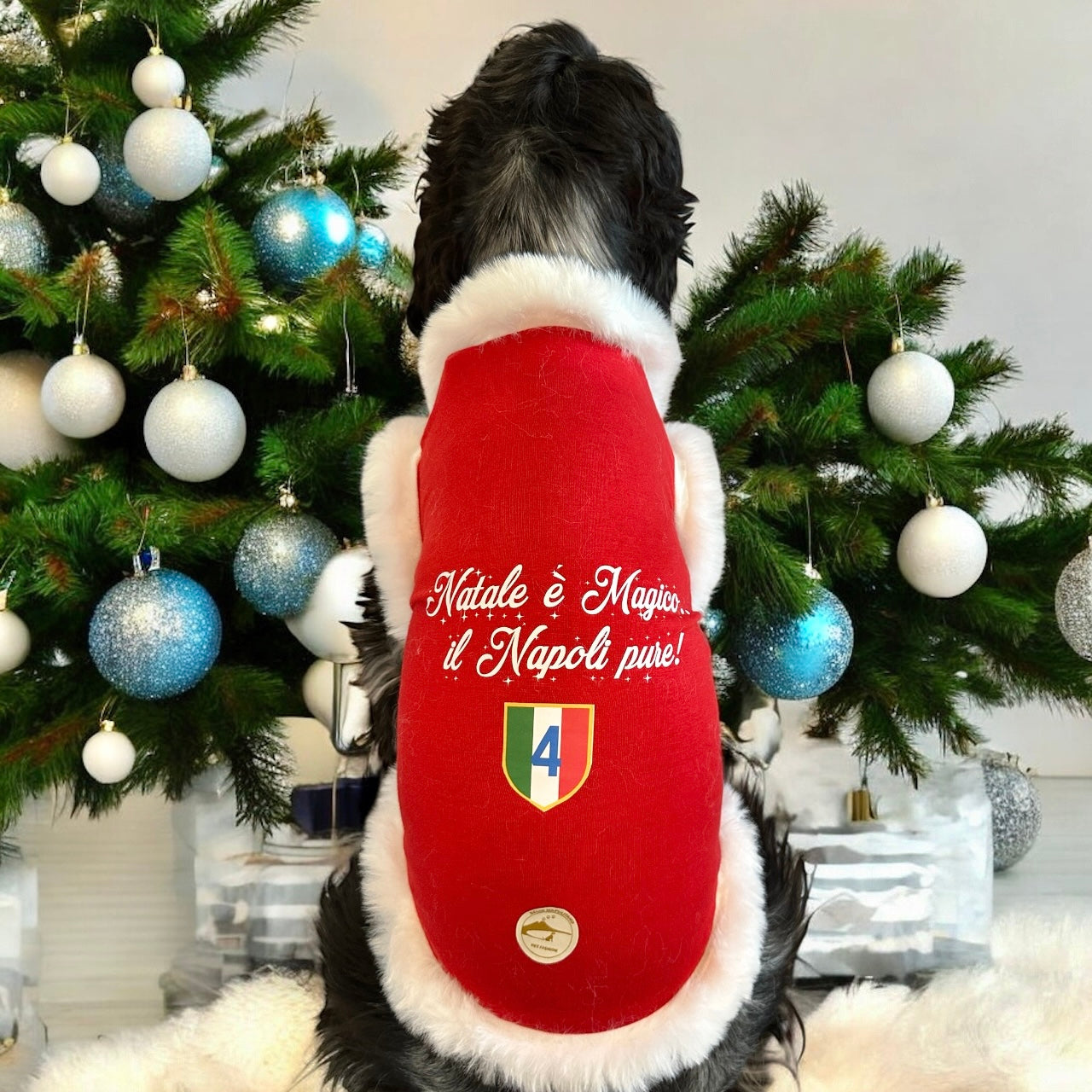Maglia Natalizia per cani - Calcio Napoli - “Natale è magico.. il Napoli pure!”