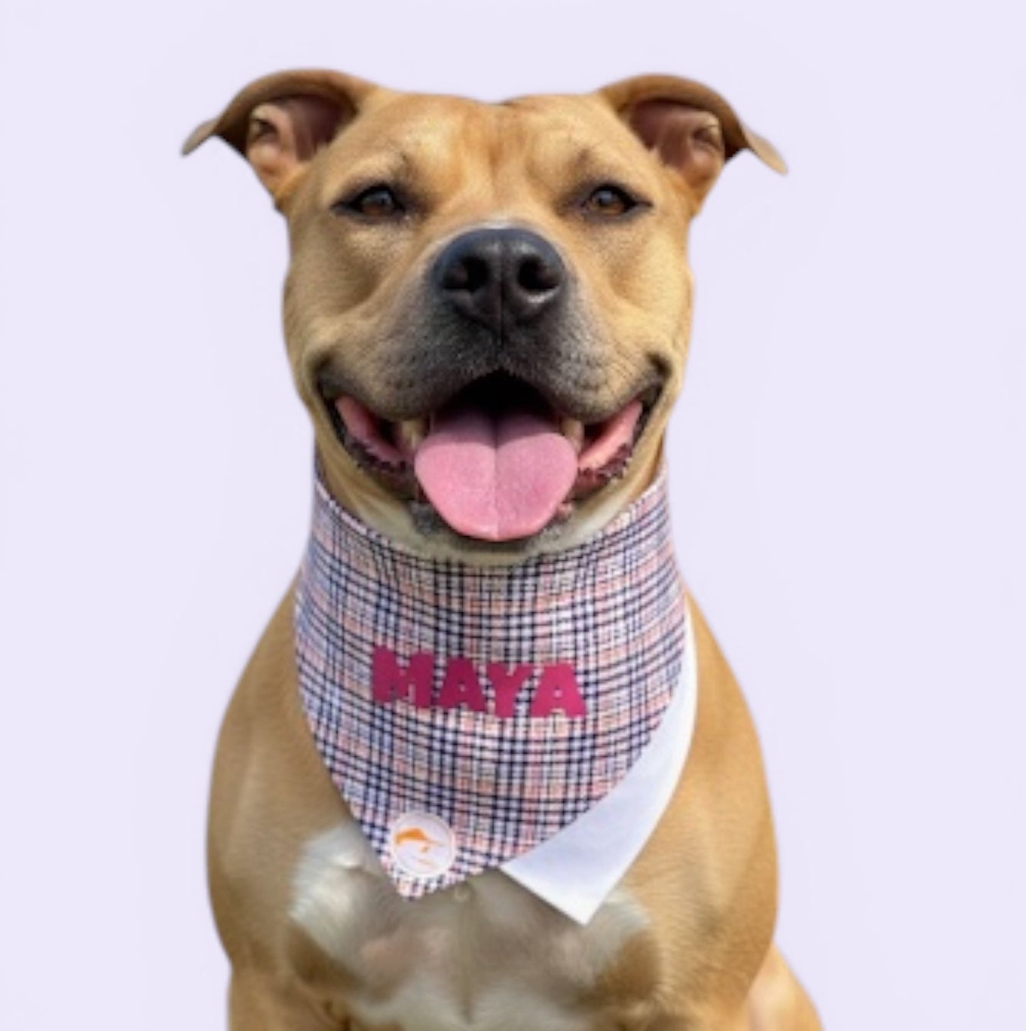 Bandana Doppia Accavallata con Collare Integrato | Salmone Righe Vivaci | Personalizzabile