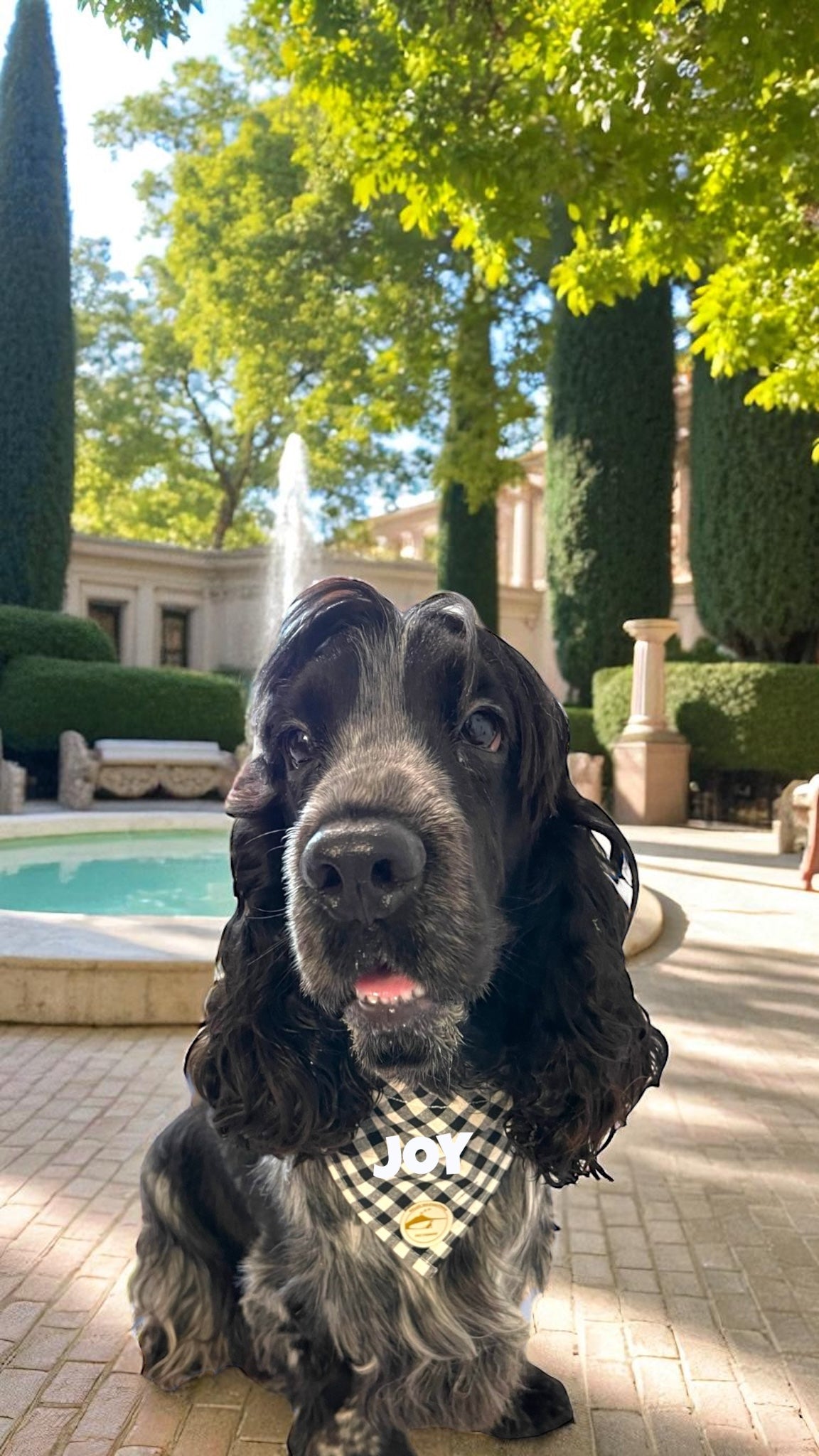 Bandana per Cani Sartoriale nero e bianco a Quadretti in Cotone
