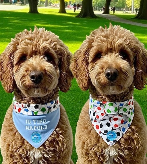 Bandana sartoriale double-face con elastico per cani con scritta ricamata “Io tifo Napoli”