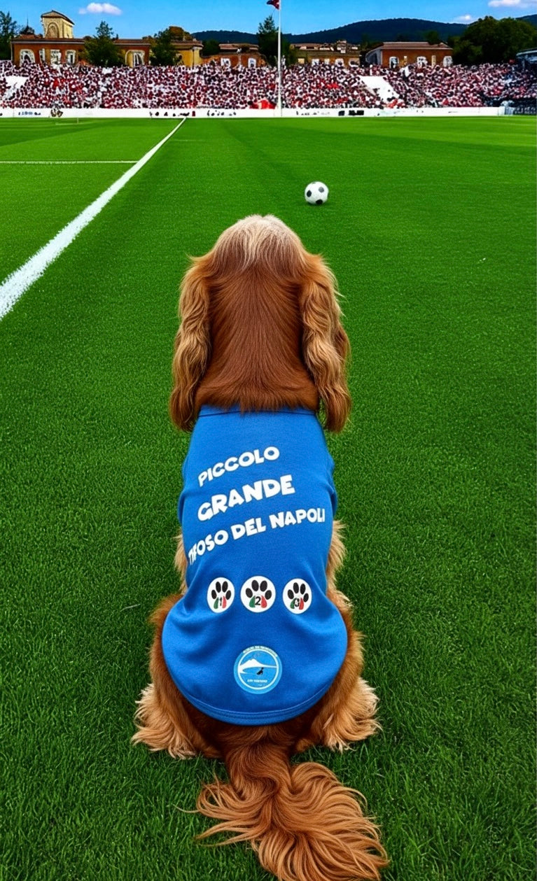 Magliette Cane Morbidissime "Piccolo grande tifoso del Napoli" - Abbigliamento Tifoso Napoli