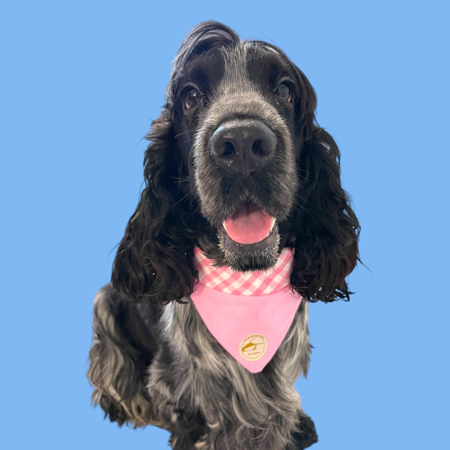 Bandana per Cani Rosa a Quadretti Double-Face e Personalizzata