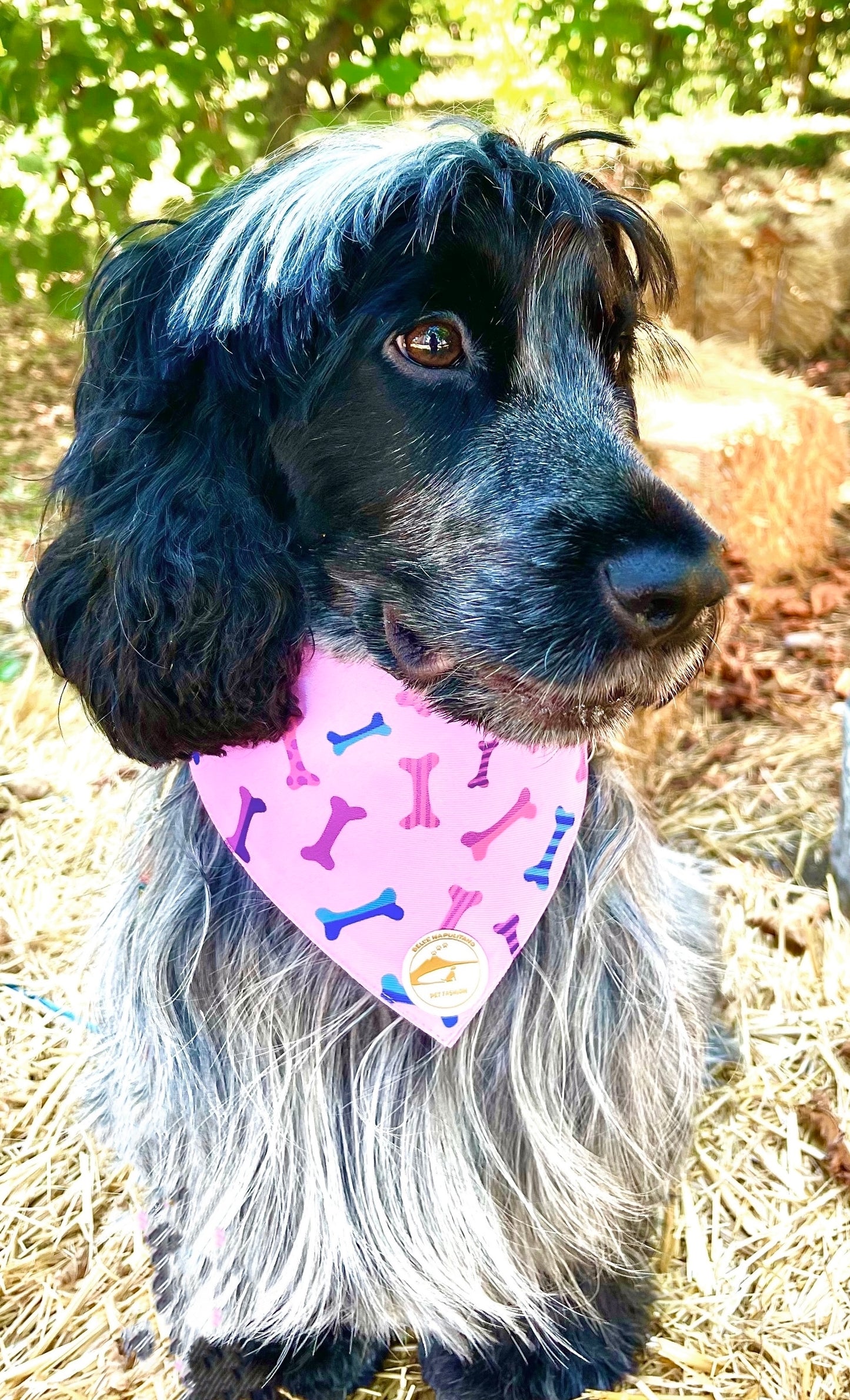 Bandana cane rosa con collare con fantasia ossi multicolor personalizzabile