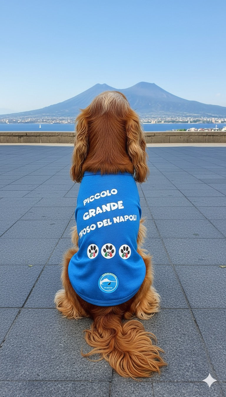 Magliette Cane Morbidissime "Piccolo grande tifoso del Napoli" - Abbigliamento Tifoso Napoli