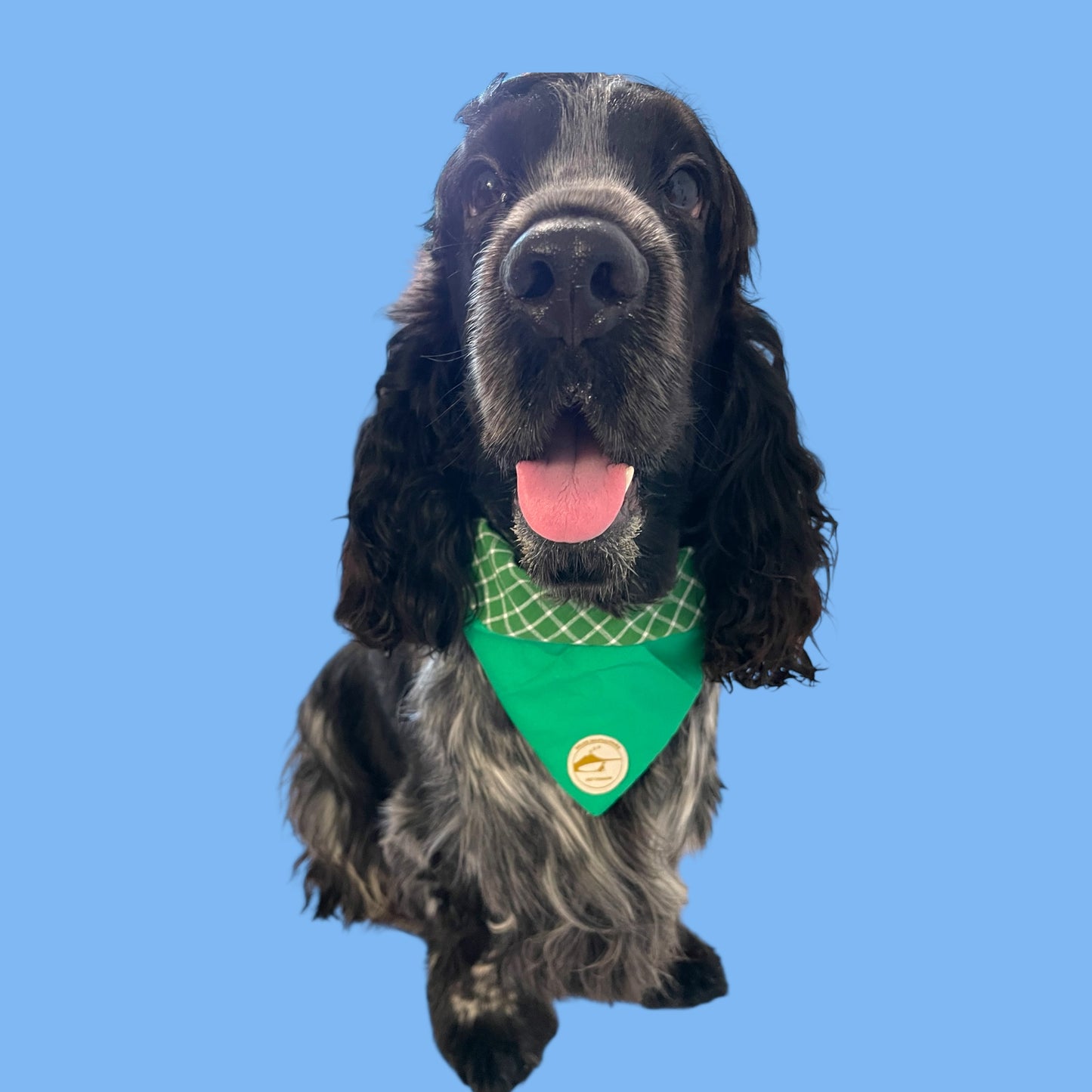 Bandana per Cani verde a Quadretti Double-Face e Personalizzata