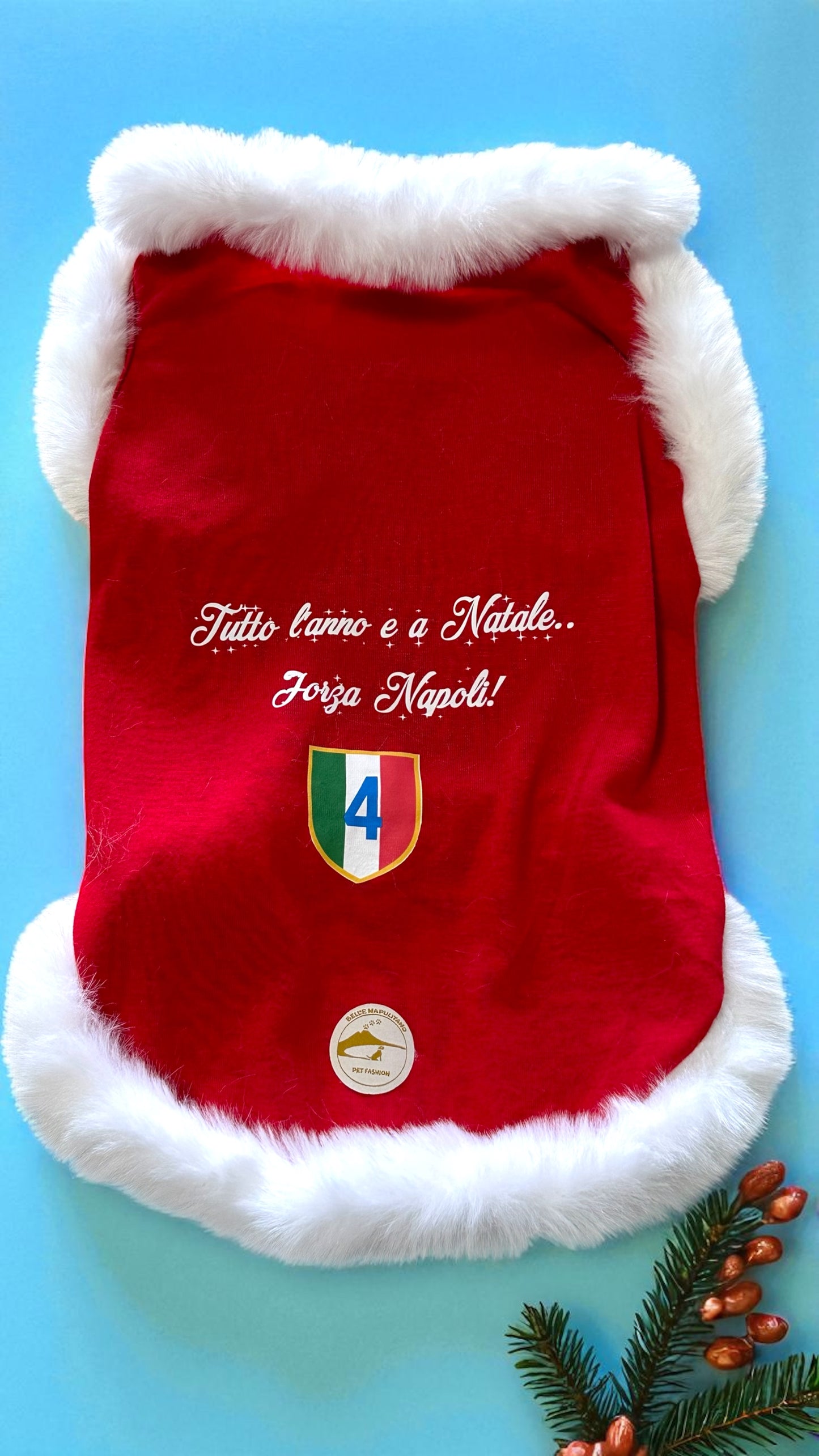 Maglia Natalizia per cani - Calcio Napoli - “Tutto l’anno e a Natale.. Forza Napoli!”