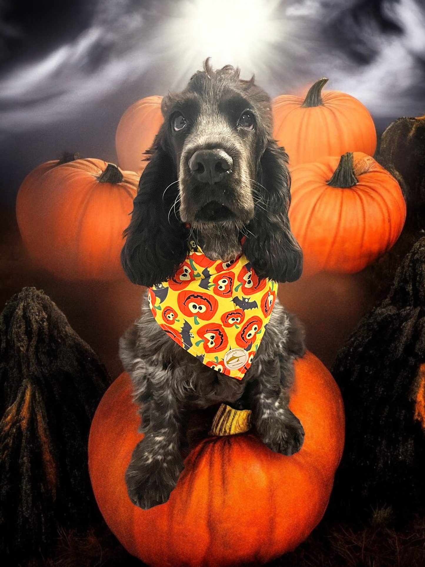 Bandana Halloween per cani gialla con zucche e pipistrelli
