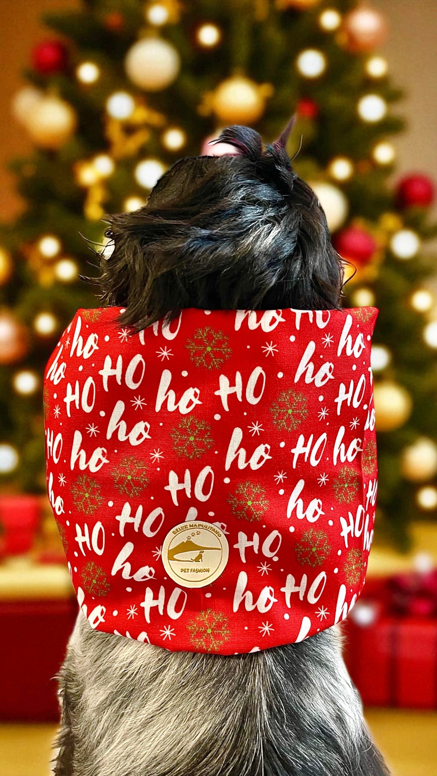 Snood sartoriale natalizio rosso per Cocker