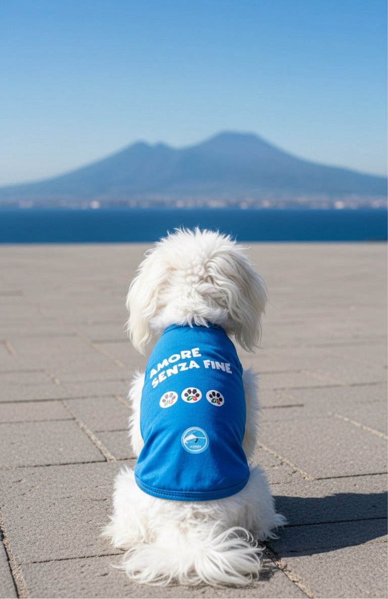Maglia calcio Napoli 3 scudetto per cani