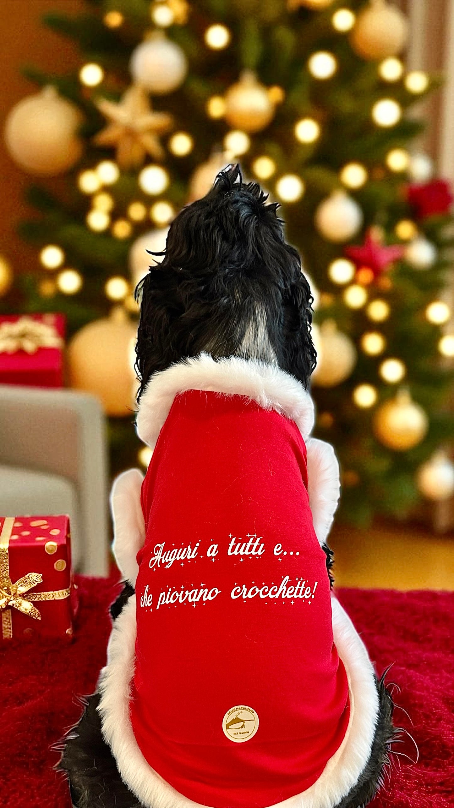 Maglia natalizia per cani stile Babbo Natale con scritta “Auguri a tutti e .. che piovano crocchette!”