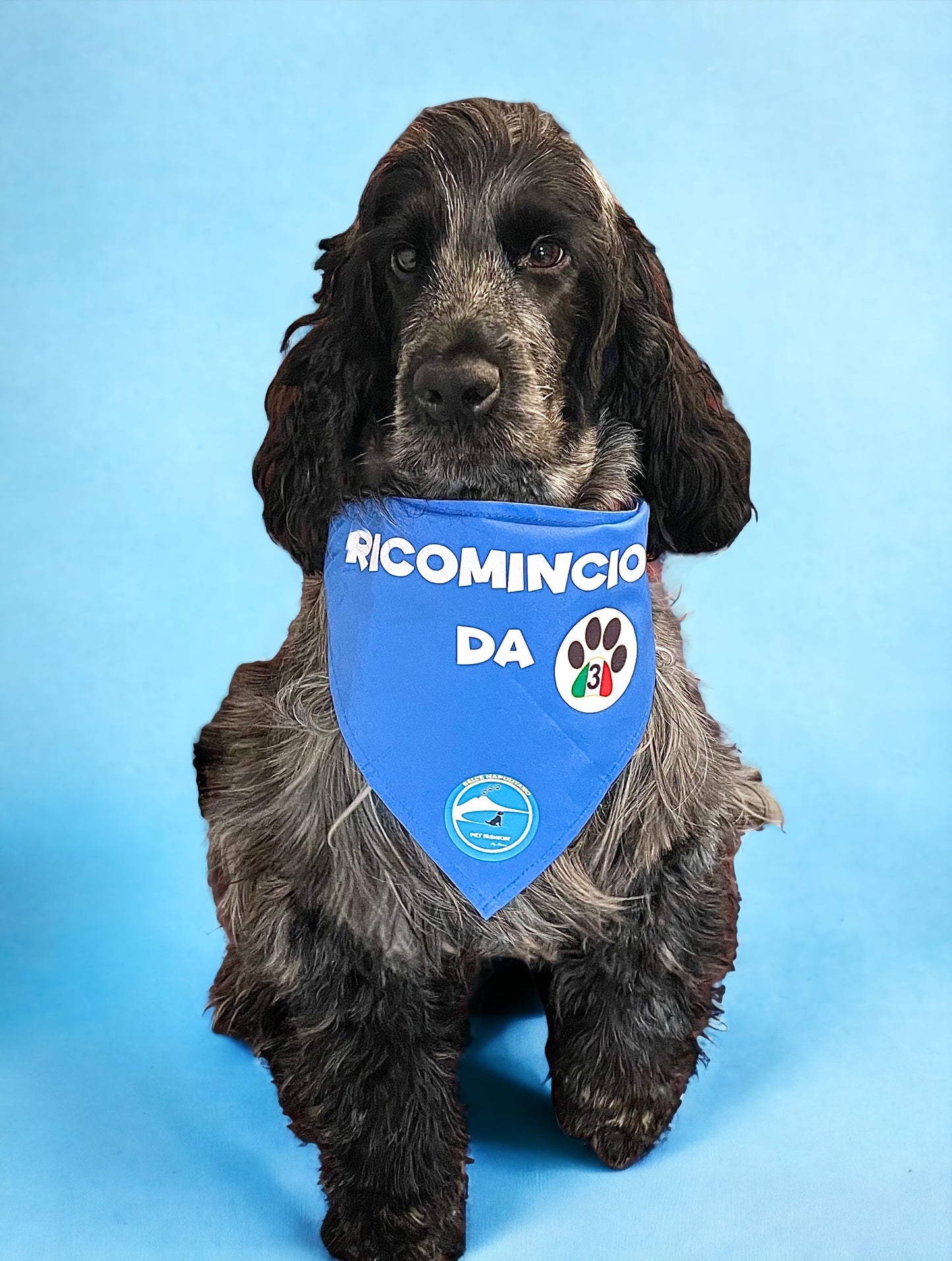 Bandane per Cani “Ricomincio da 3” - 100% Cotone