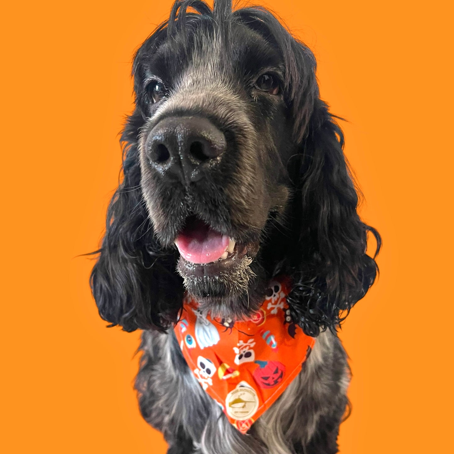 Bandana Classic Halloween Arancione: Zucche, Fantasmi, Ragni e Teschi