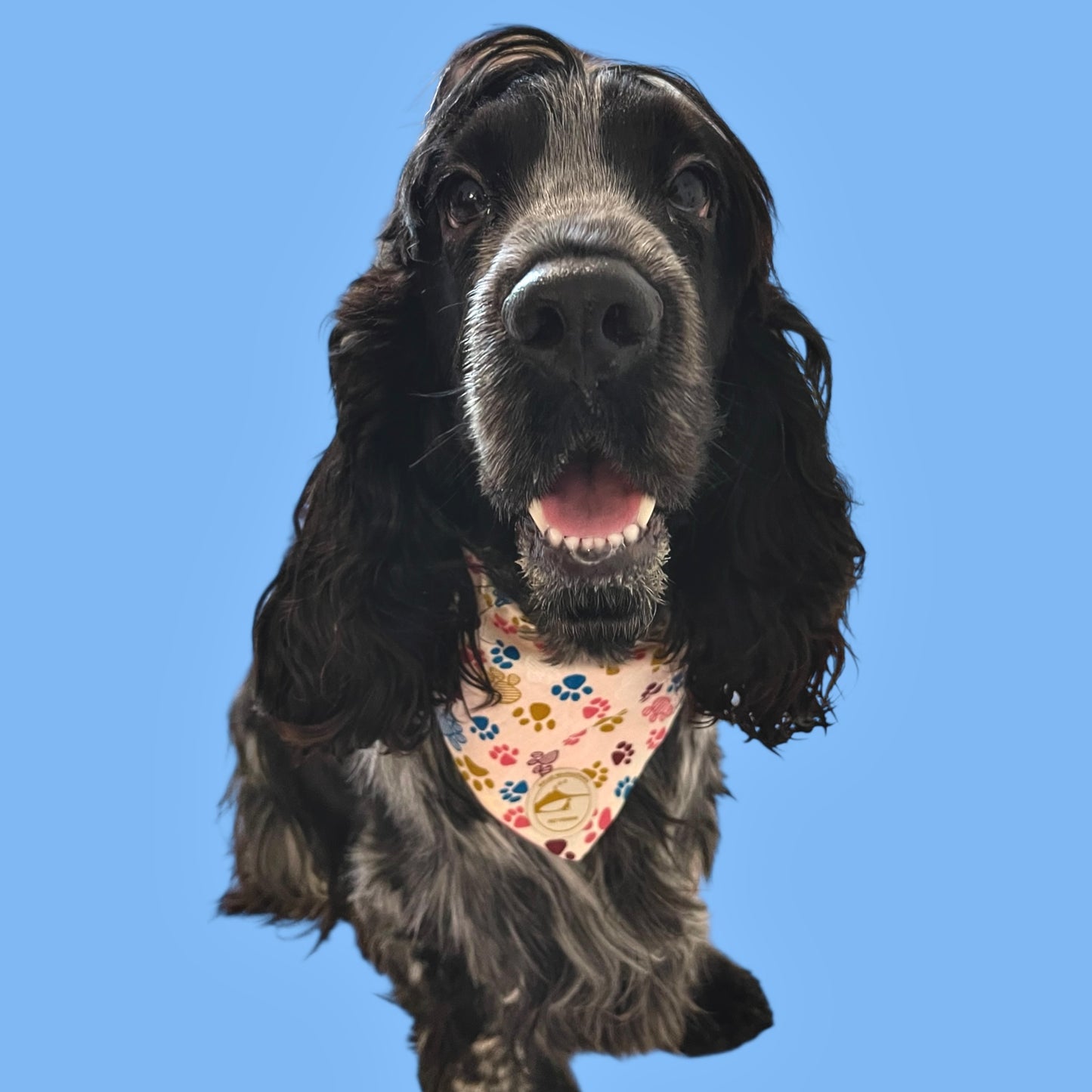 Bandana per Cani rosa con fantasia di zampette multicolor, Double-Face e Personalizzata