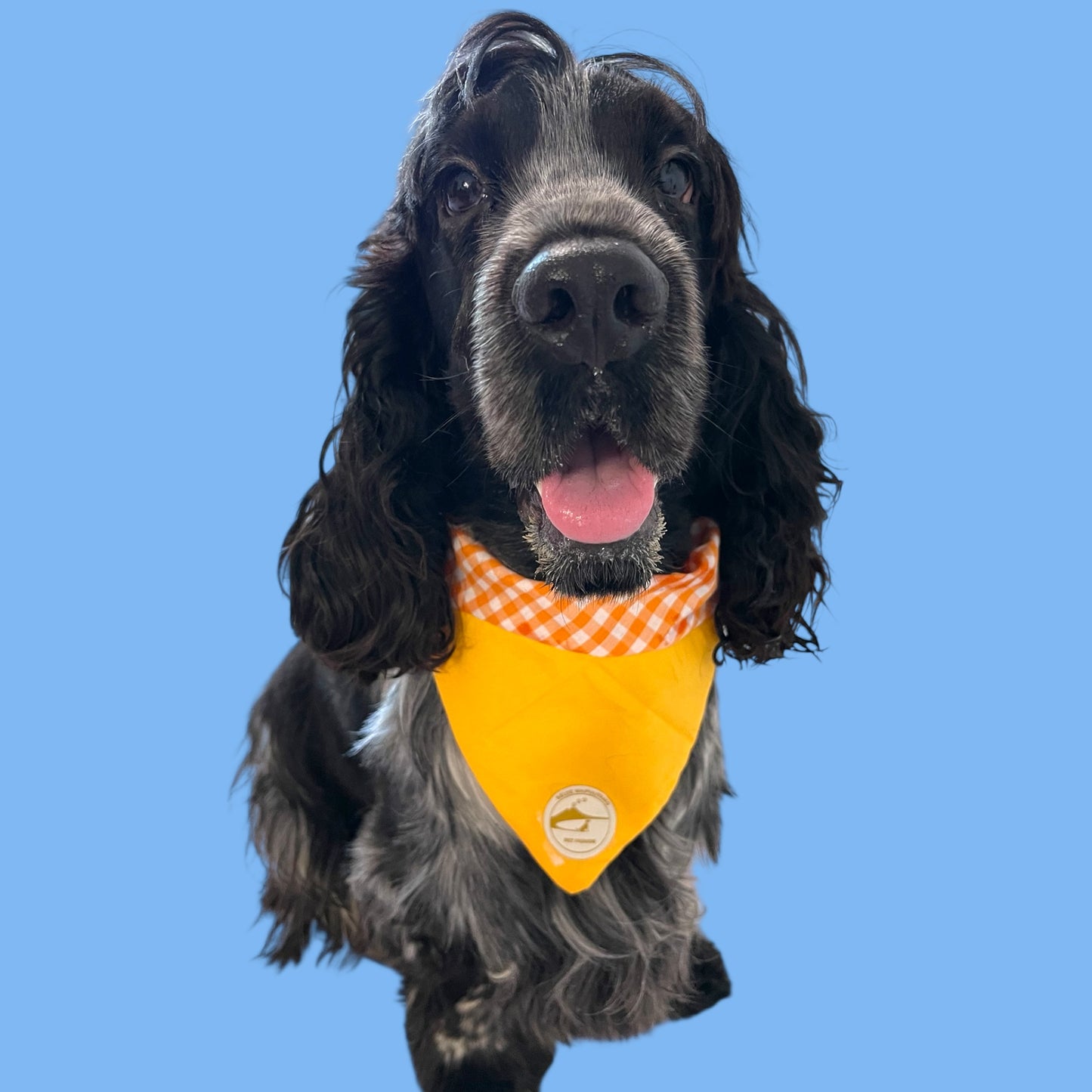 Bandana per Cani arancione a Quadretti Double-Face e Personalizzata