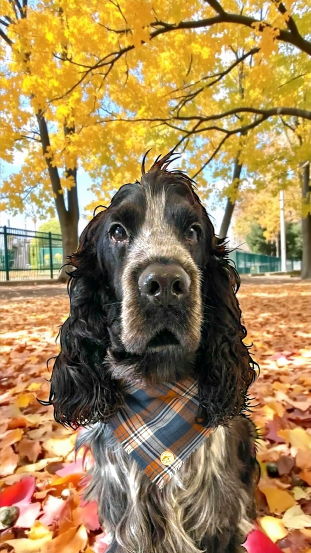 Bandana tartan per cani invernale morbida e calda sfrangiata -(blu, cammello e bianco)