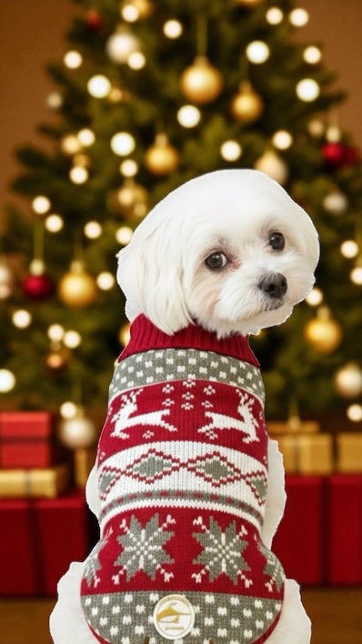 Maglioncino Natalizio per cani di piccola taglia