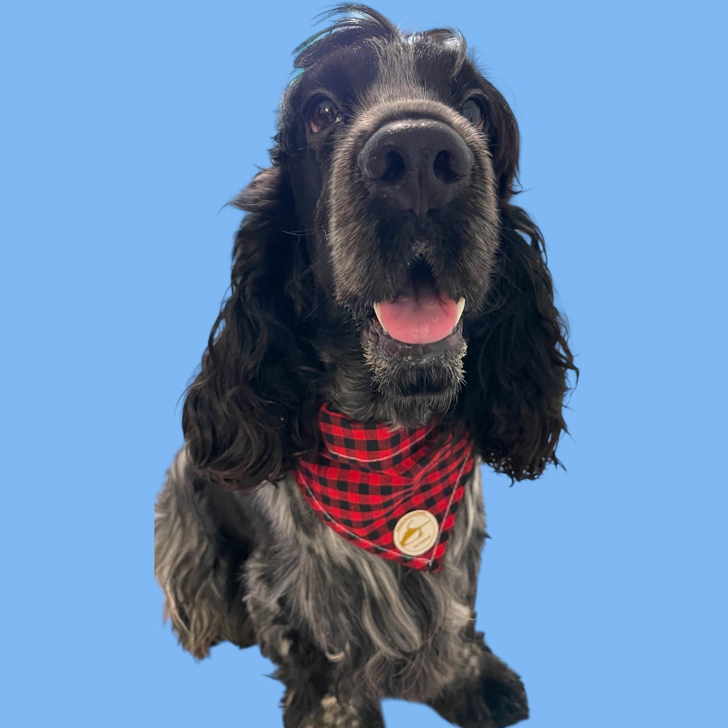 Bandana per Cani Sartoriale nero e rosso a Quadretti in Cotone