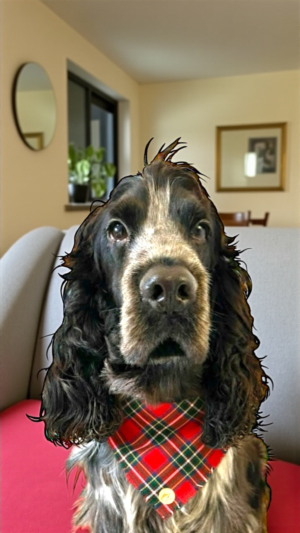 Bandana tartan per cani invernale morbida e calda sfrangiata - (Rosso e verde)