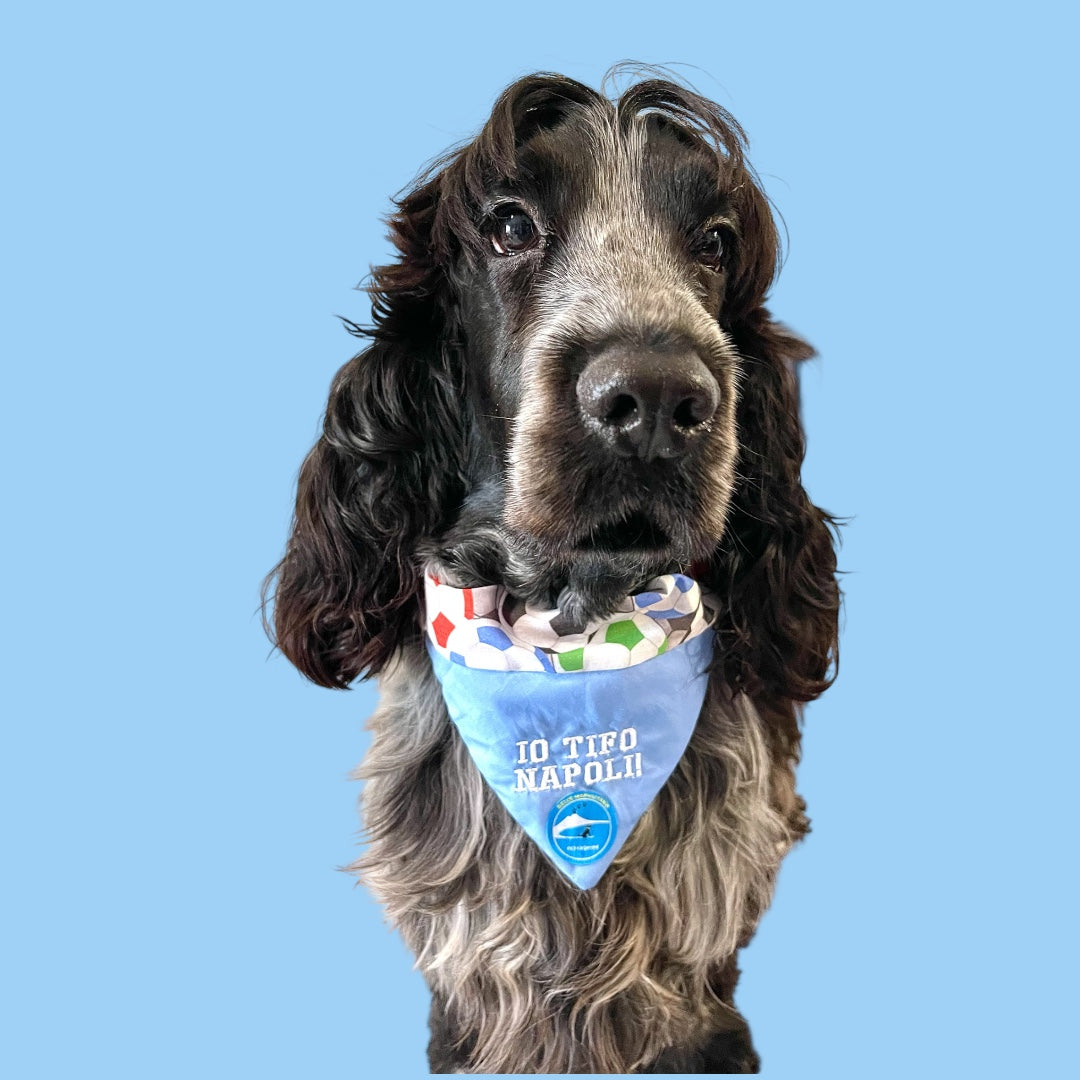 Bandana sartoriale double-face con elastico per cani con scritta ricamata “Io tifo Napoli”