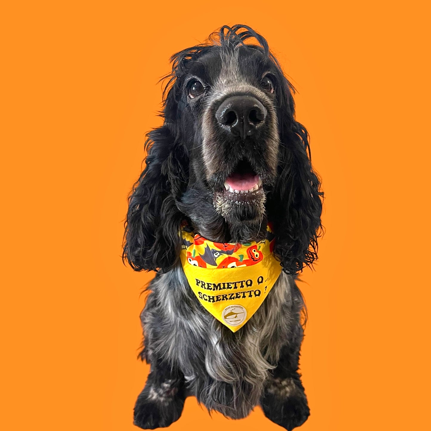 Bandana Cane Double-Face Gialla Halloween: Zucche, Pipistrelli e “Premietto o Scherzetto”