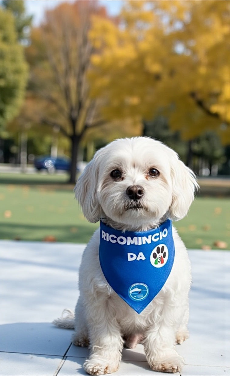 Bandane per Cani “Ricomincio da 3” - 100% Cotone