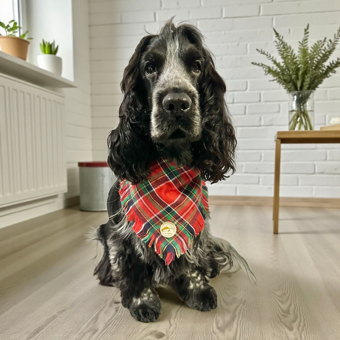 Bandana tartan rossa per cani