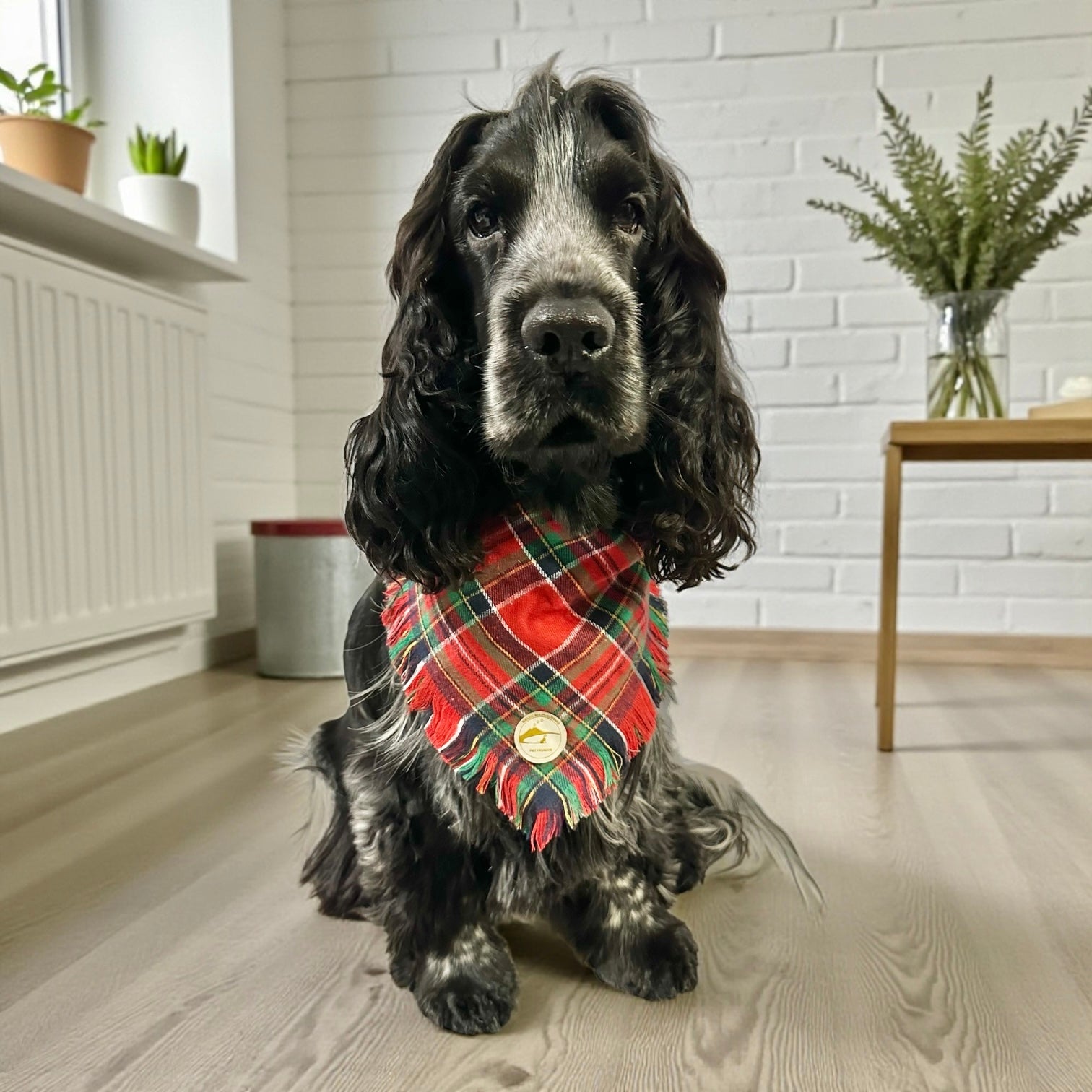 Bandana tartan rossa per cani