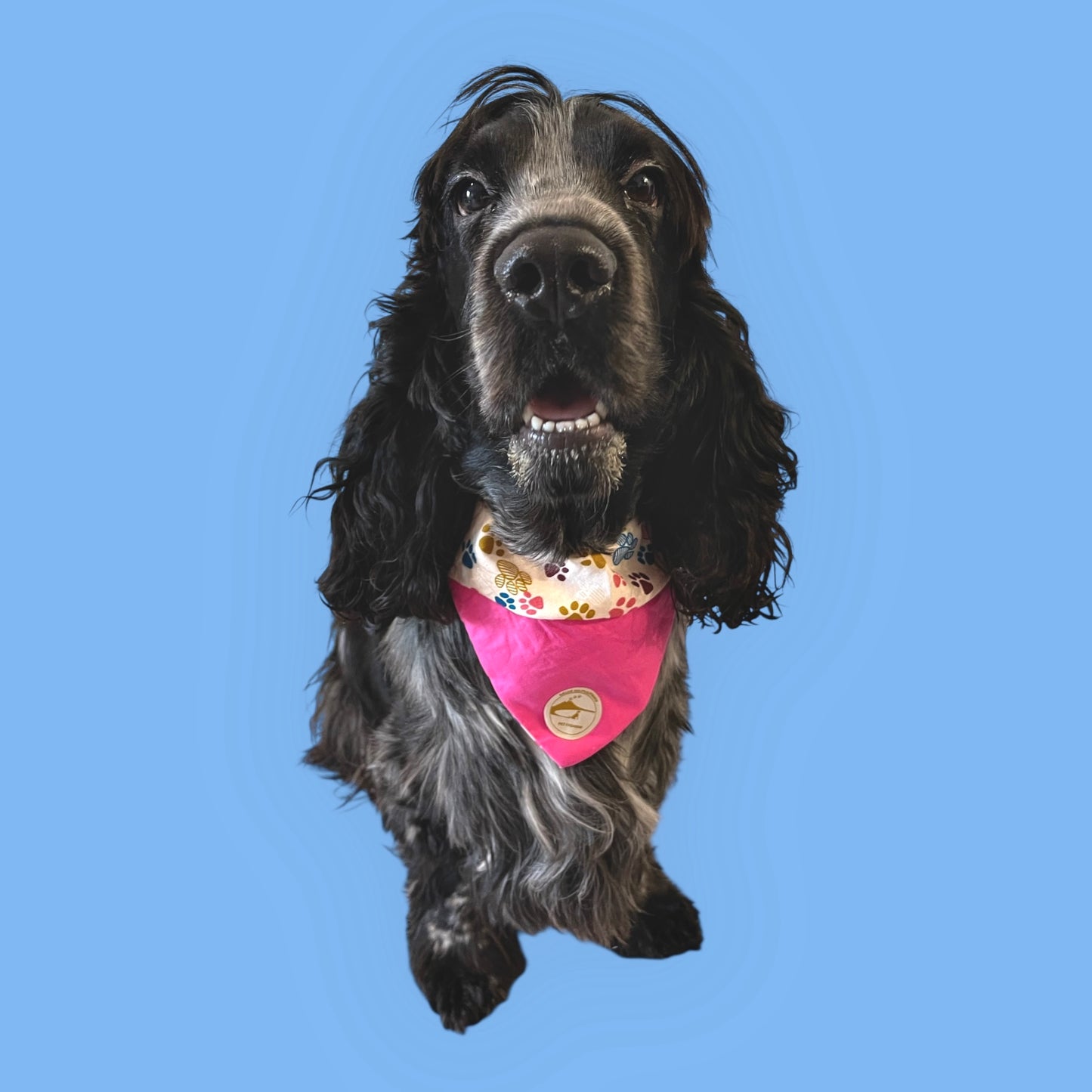 Bandana per Cani rosa con fantasia di zampette multicolor, Double-Face e Personalizzata